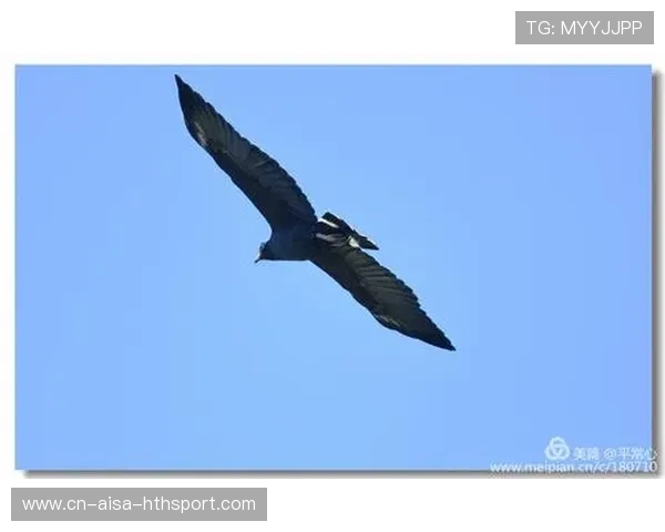 哥斯达黎加将通过跨国交流提升训练理念——开启全球合作新时代