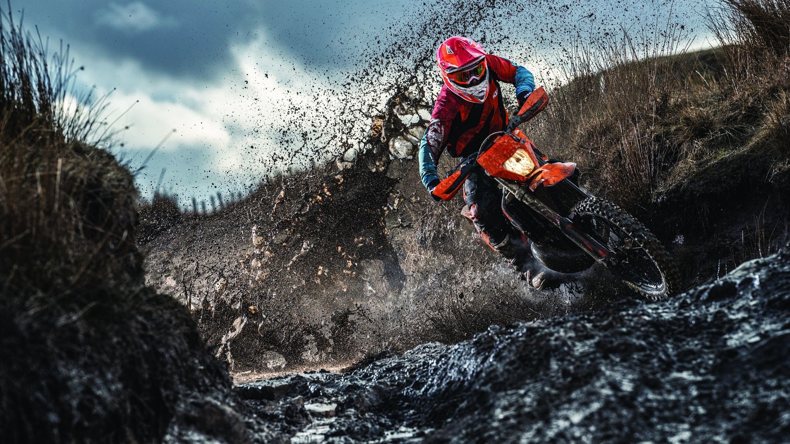 体育明星商业价值榜单